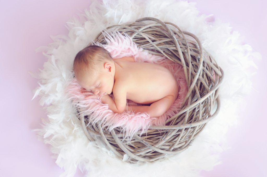 newborn baby laying on a pink pillow in a giant bird nest